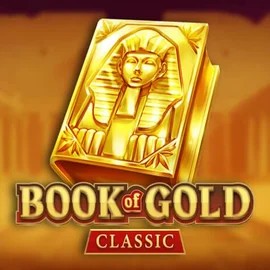 game logo by Playson on oscarspins.net.pl